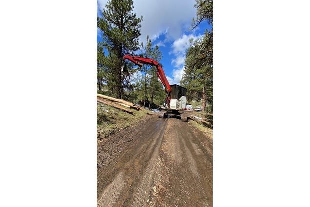 2005 Link-Belt 210 LX Log Loader